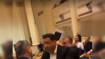 Депутаты Грузии подрались из-за закона об иноагентах (видео)