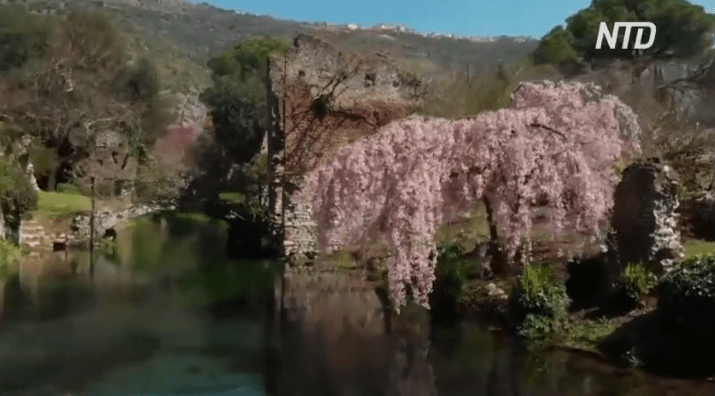 Цветущий сад Нимфы близ Рима приглашает романтиков
