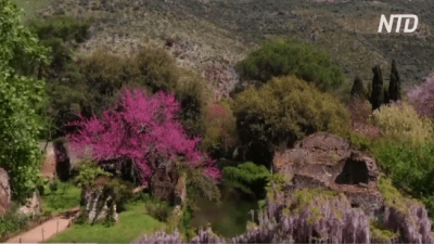 Цветущий сад Нимфы в окрестностях Рима приглашает романтиков