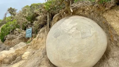 Таинственные сферические камни на пляжах Новой Зеландии