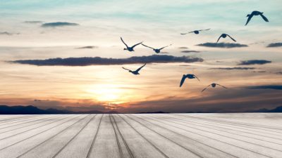 За гранью совпадений: исследование синхронности в снах и реальности