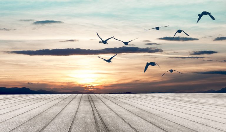 То, что мы часто считаем простым совпадением, на самом деле может быть результатом более глубокого, основополагающего порядка во Вселенной. (Carloscastilla via Dreamstime) | Epoch Times Россия