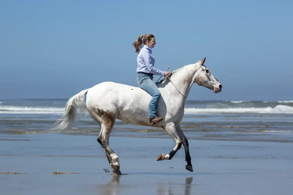 Лошадь ослепла, но хозяйка вернула ей уверенность и привела к трём мировым рекордам