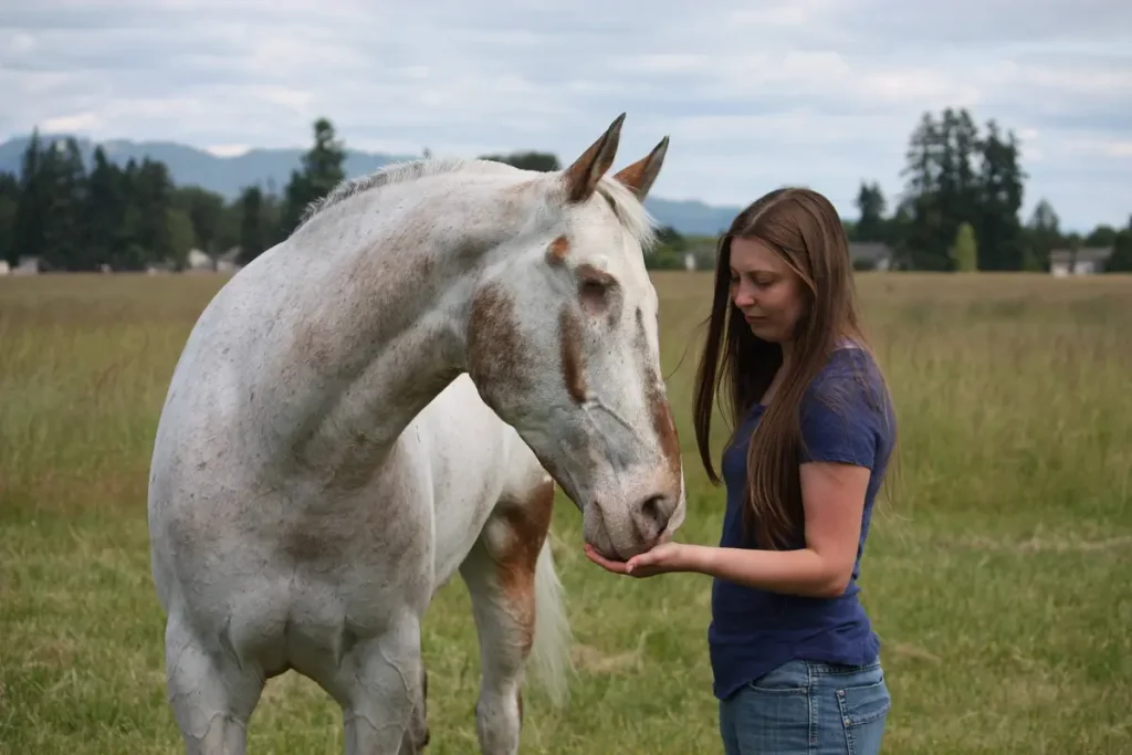 Лошадь ослепла, но хозяйка вернула ей уверенность и привела к трём мировым рекордам