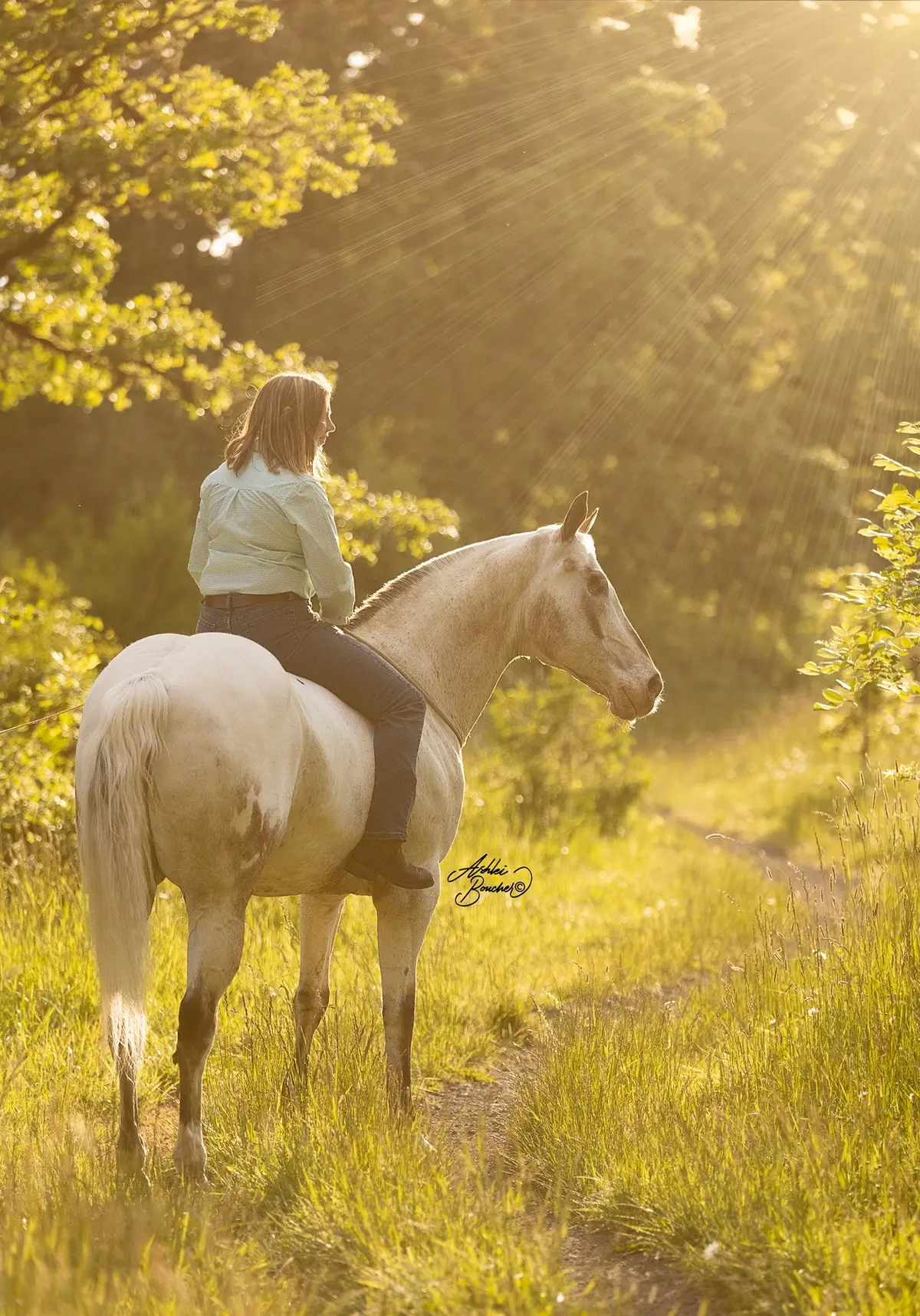Лошадь ослепла, но хозяйка вернула ей уверенность и привела к трём мировым рекордам