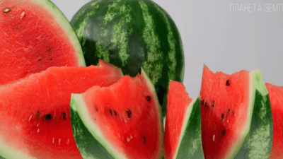 Арбуз — символ лета