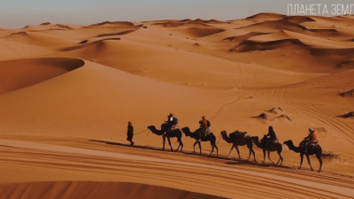 Африка — колыбель цивилизации