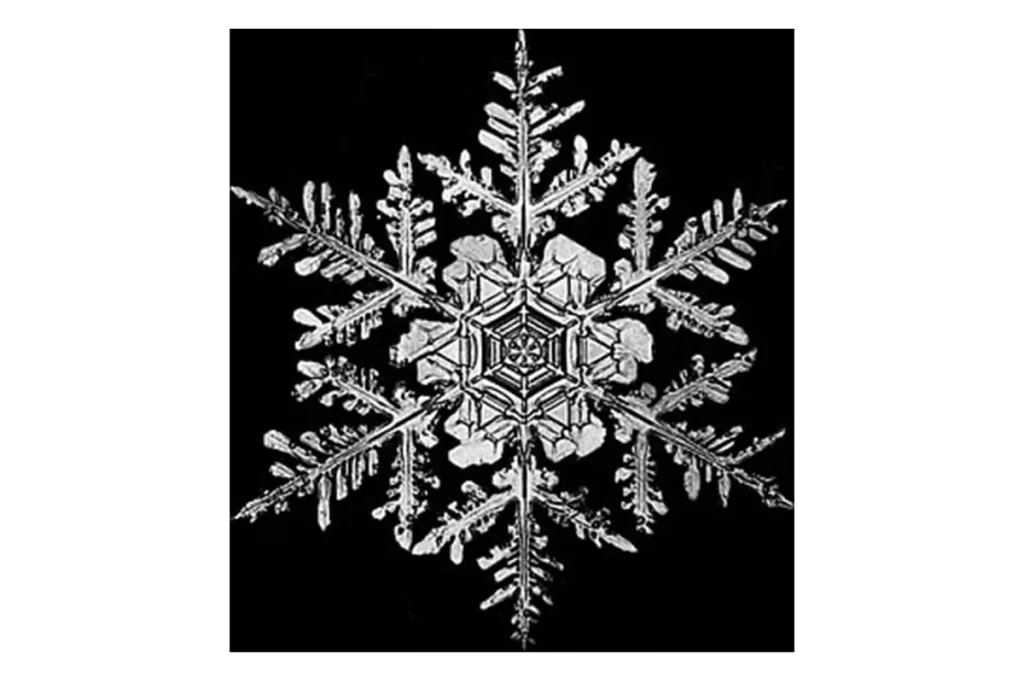 Фермер из Вермонта в 1885 году сделал первые в истории снимки кристаллов льда