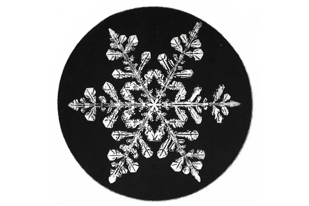 Фермер из Вермонта в 1885 году сделал первые в истории снимки кристаллов льда