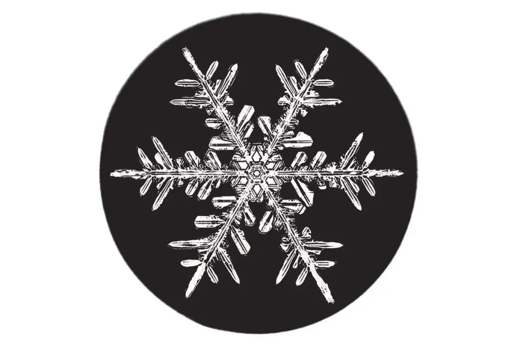 Фермер из Вермонта в 1885 году сделал первые в истории снимки кристаллов льда