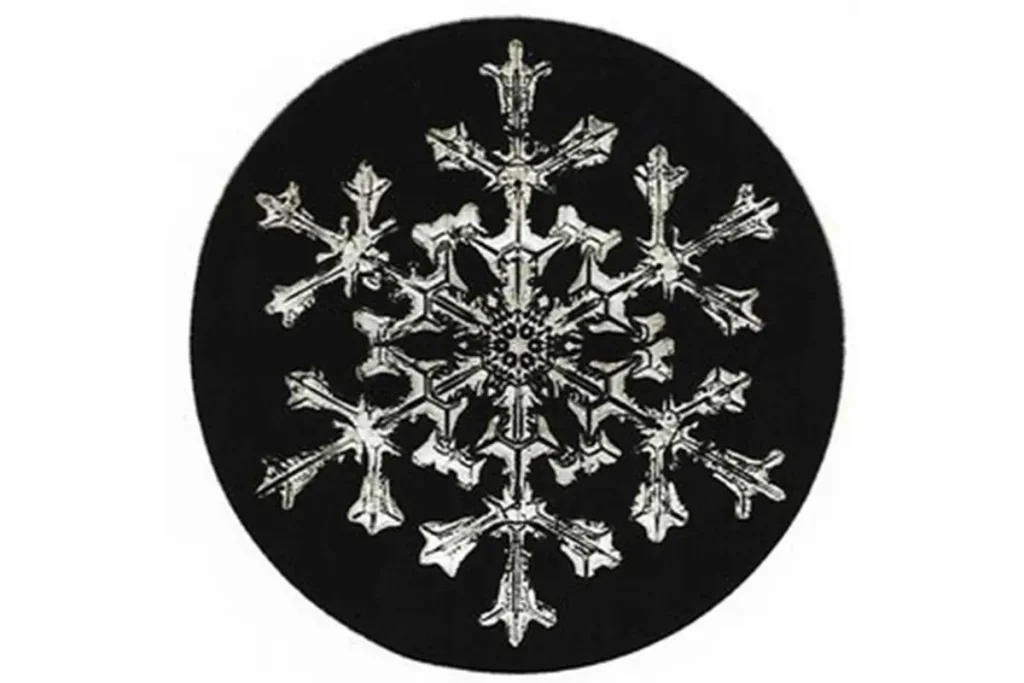 Фермер из Вермонта в 1885 году сделал первые в истории снимки кристаллов льда