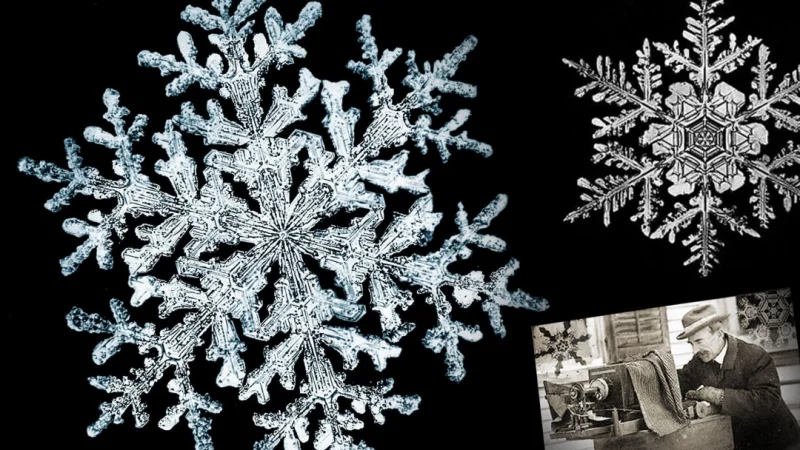 (Amy Bentley Hunt collection, Jericho Historical Society) | Epoch Times Россия