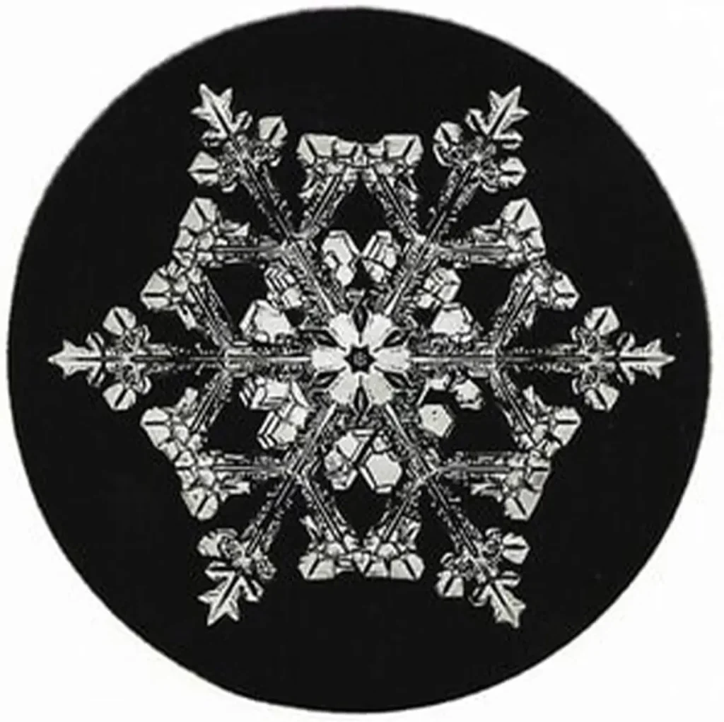 Фермер из Вермонта в 1885 году сделал первые в истории снимки кристаллов льда