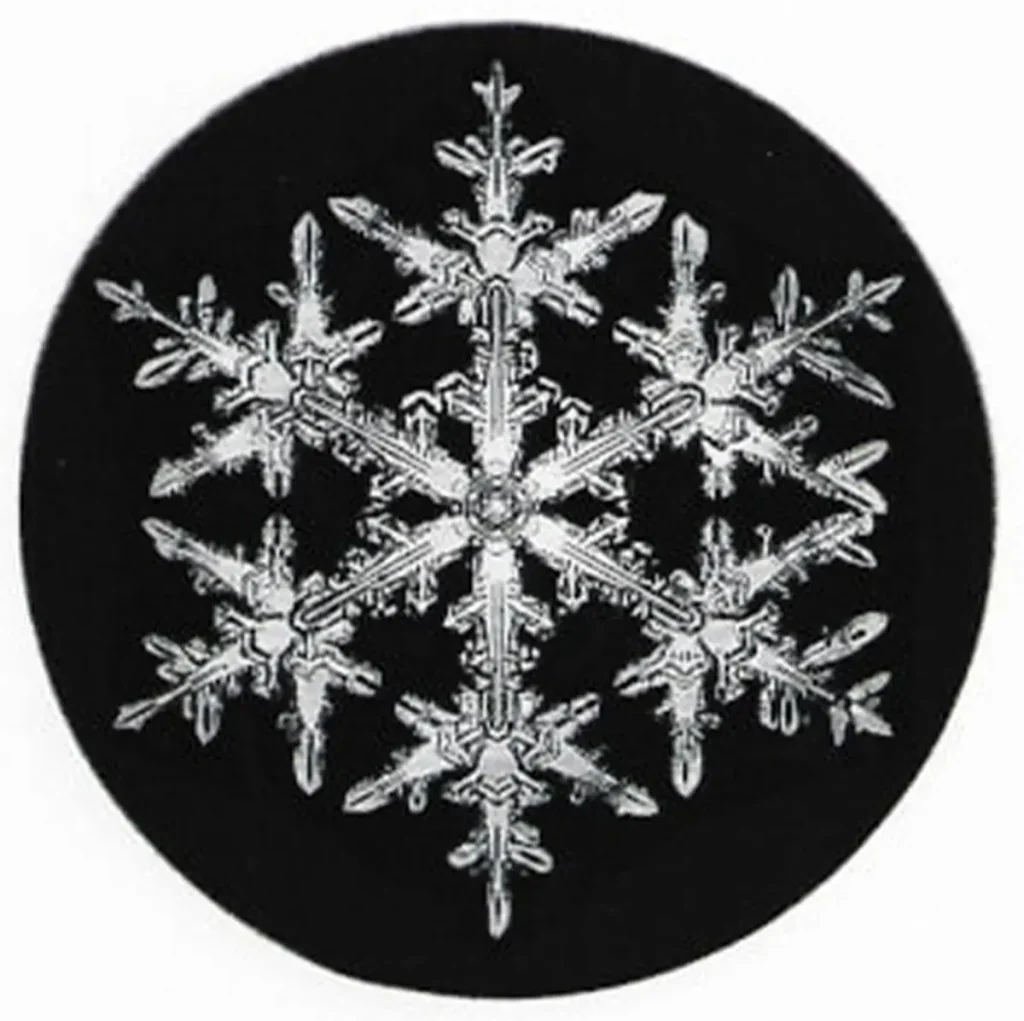 Фермер из Вермонта в 1885 году сделал первые в истории снимки кристаллов льда