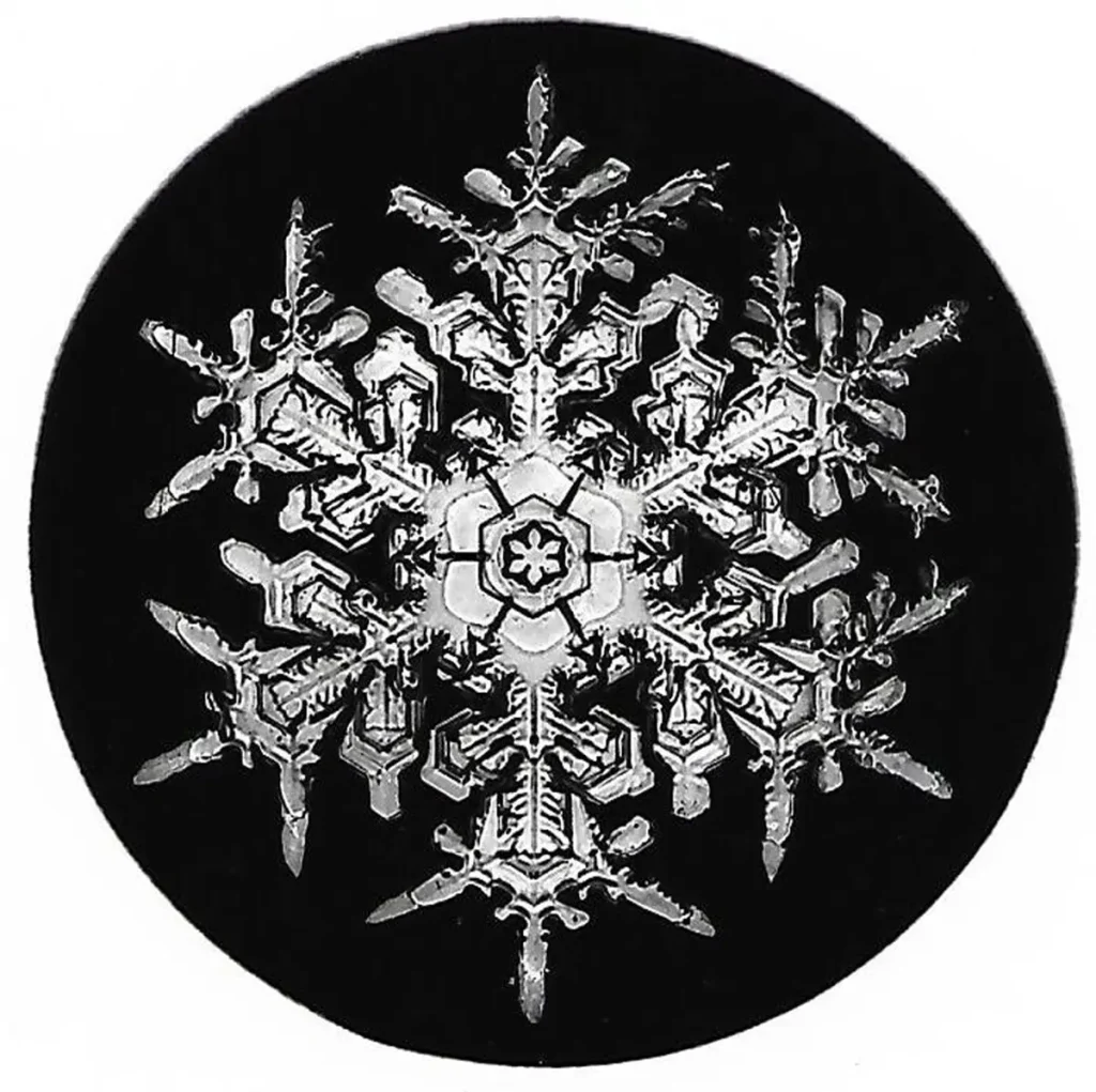 Фермер из Вермонта в 1885 году сделал первые в истории снимки кристаллов льда