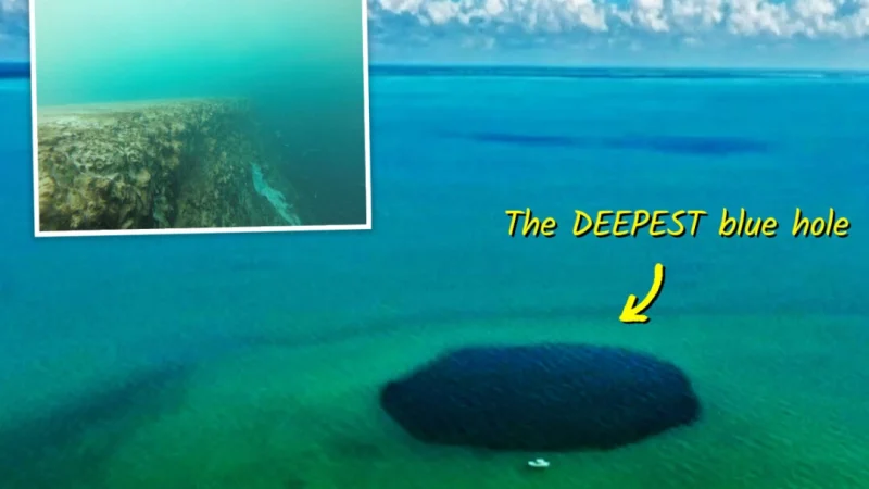 (Illustration by The Epoch Times, Courtesy of Joan A. Sánchez-Sánchez and Alcérreca-Huerta et al/Frontiers in Marine Science, 2024) | Epoch Times Россия