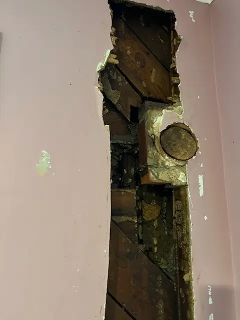 Ребёнок жаловался на монстров в стенах спальни. Вскрыв их, родители ужаснулись