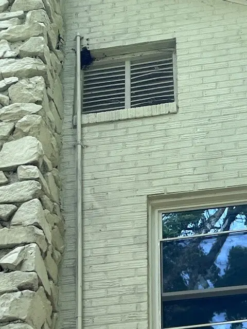 Ребёнок жаловался на монстров в стенах спальни. Вскрыв их, родители ужаснулись