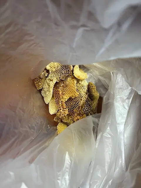 Ребёнок жаловался на монстров в стенах спальни. Вскрыв их, родители ужаснулись