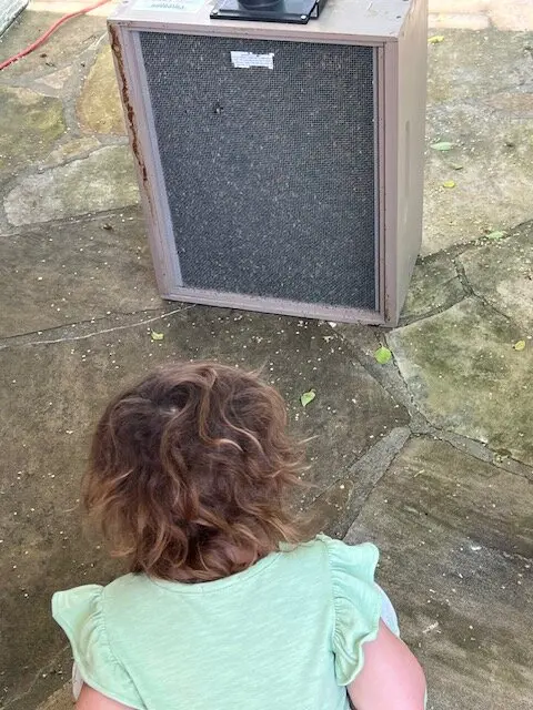 Ребёнок жаловался на монстров в стенах спальни. Вскрыв их, родители ужаснулись