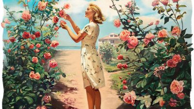 Выращивать розы не так сложно, как вы думаете