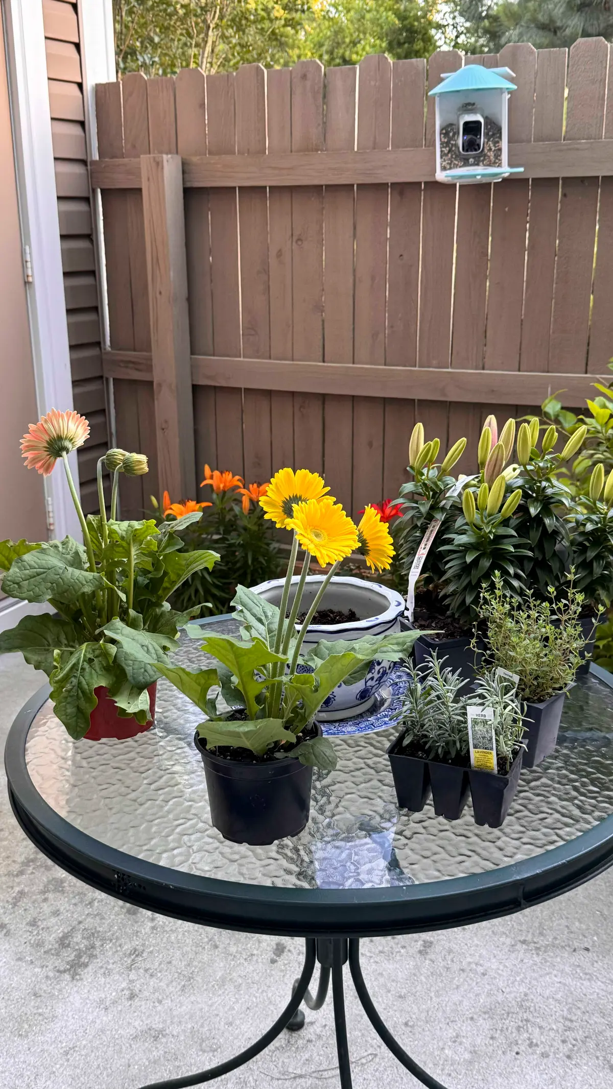 Молодые супруги превратили свой дом в винтажный коттедж и предпочитают неспешный образ жизни