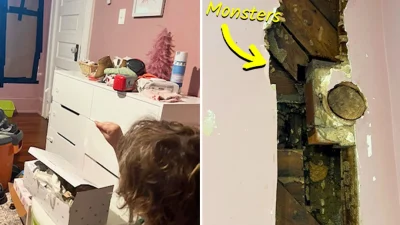 Ребёнок жаловался на монстров в стенах спальни. Вскрыв их, родители ужаснулись