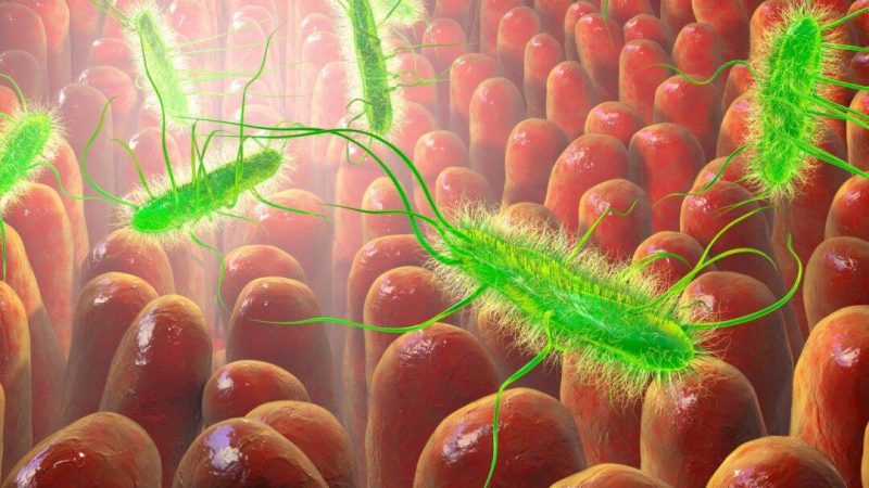 (Kateryna Kon/Shutterstock) | Epoch Times Россия