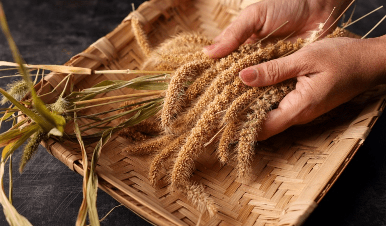 Пшено — основной продукт питания из цельного зерна, не содержащий глютена и считающийся отличным продуктом для здоровья. (Shutterstock) | Epoch Times Россия