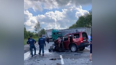 В страшном ДТП в Рязанской области погибли 8 человек (видео)