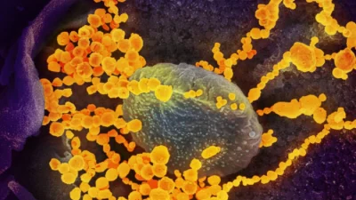 CDC: Новый вариант COVID KП.3 распространяется в США