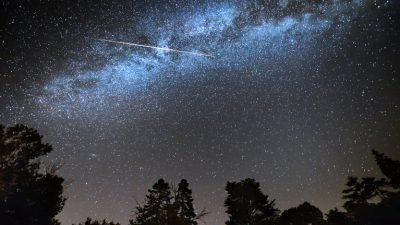 Игнорирование пророчества привело страну к катастрофе