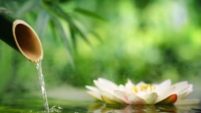 Следуйте Божественным принципам доброты и терпения