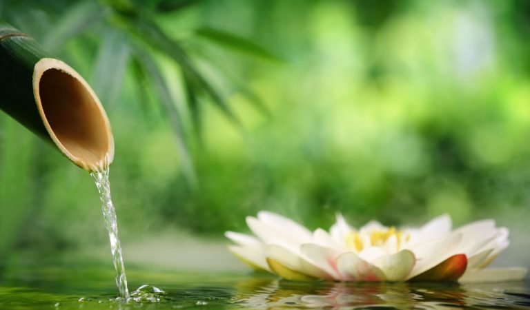 Древняя поговорка гласит: «Добродетельного человека все уважают, он благословлен Небесами, ему сопутствует удача, его избегает зло, он защищён духами и успешен во всех начинаниях». (Sofiaworld via Shutterstock) | Epoch Times Россия