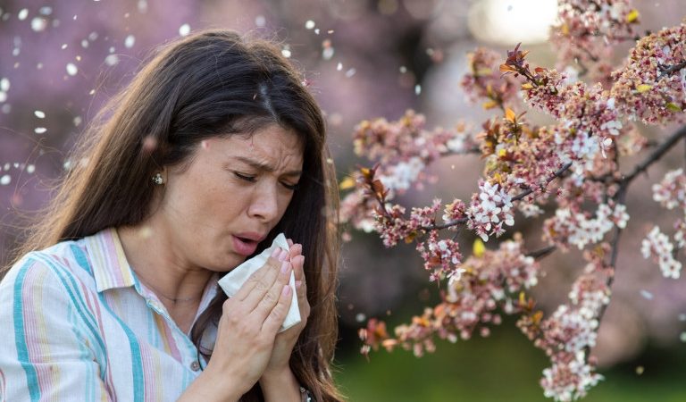 Аллергия считается неизлечимой, но натуральные домашние средства предлагают мягкие и эффективные решения. (Budimir Jevtic via Shutterstock) | Epoch Times Россия
