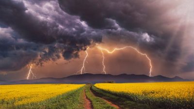 Из-за злобных поступков наказывается весь род