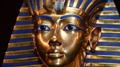 Древняя панацея: ромашковый чай способен вылечить 100 болезней