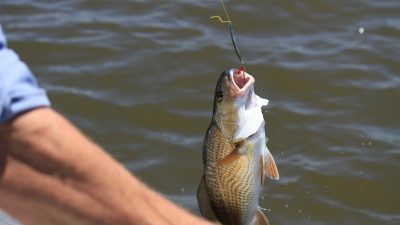 На Алтае призёры конкурса рыбаков получили украинские медали