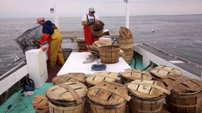 Толбот: погрузитесь с головой в прошлое колониальной Америки