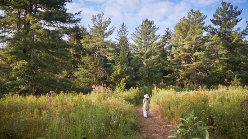 Тама Мацуока Вон прогуливается по лугу возле своего дома в Нью-Джерси. Считая себя хранительницей земли, она бережно ухаживает за лугом, взращивая местные растения и не допуская появления инвазивных. (Ngoc Minh Ngo) | Epoch Times Россия