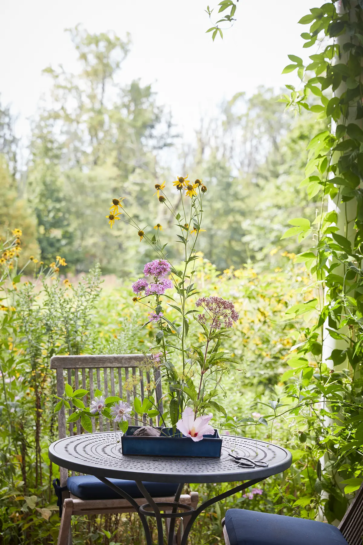 Садовод призывает полюбить сорняки