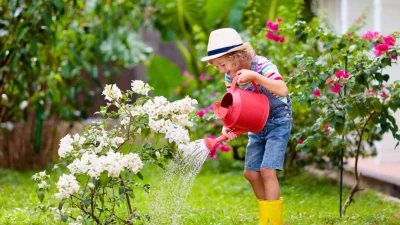 Что нужно вашим растениям, чтобы выжить при экстремальных температурах