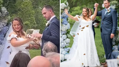 Почему бабочки монархи не хотели улетать со свадьбы