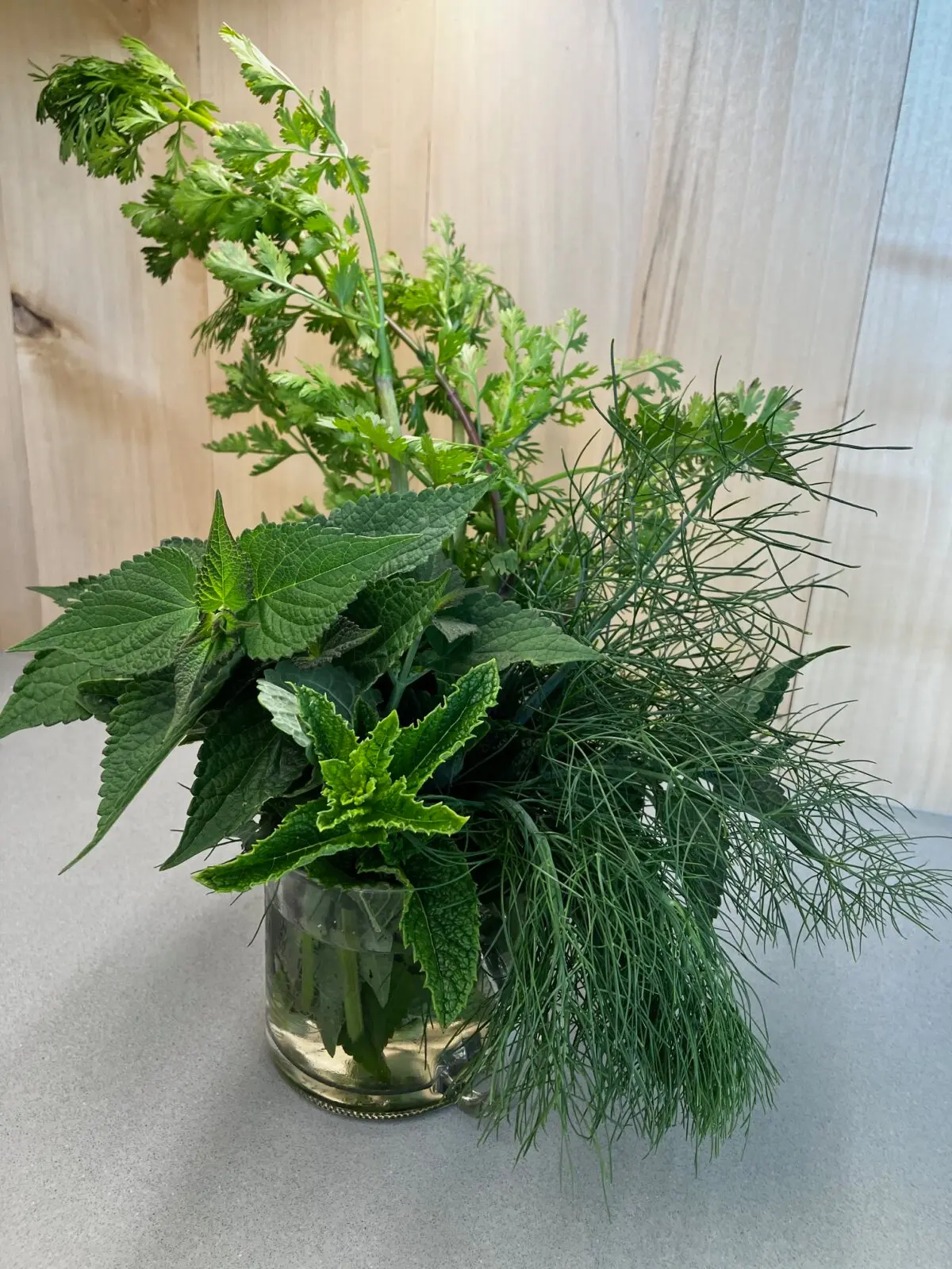 Букет садовых трав (Eric Lucas). Чтобы получить богатый урожай, не выпалывайте в своём саду растения-«добровольцы»