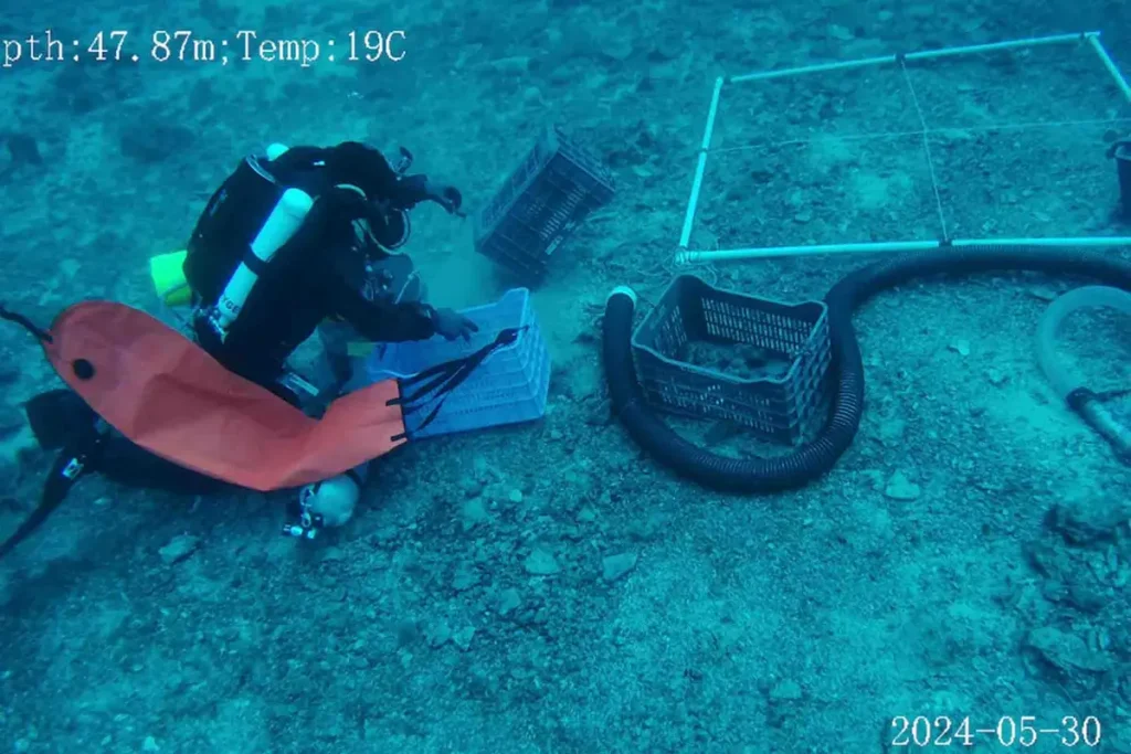 У берегов Греции обнаружен затонувший 2000 лет назад корабль с артефактами римской эпохи