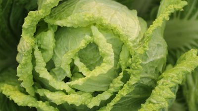 Капуста: разблокировка меридианов и улучшение здоровья внутренних органов