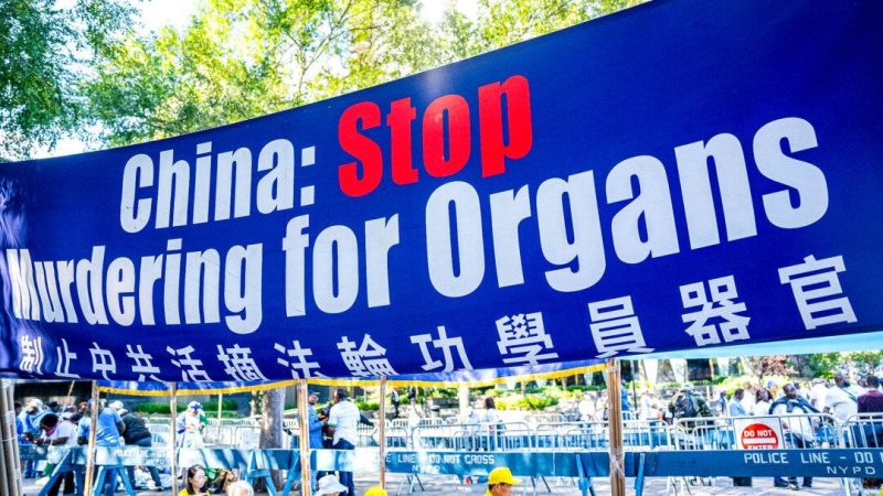 Австралия начинает борьбу с насильственным извлечением органов в Китае Баннер, призывающий положить конец насильственному извлечению органов у практикующих Фалуньгун в Китае, вывешен рядом со зданием Организации Объединённых Наций в Нью-Йорке 20 сентября 2023 года. (Chung I Ho/The Epoch Times) | Epoch Times Россия
