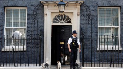 Кот Ларри пережил смену пяти премьеров в британской резиденции