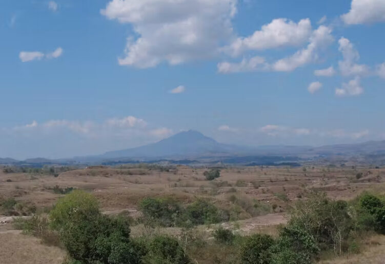 Крошечная ископаемая кость руки проливает свет на эволюцию древних индонезийских «хоббитов»