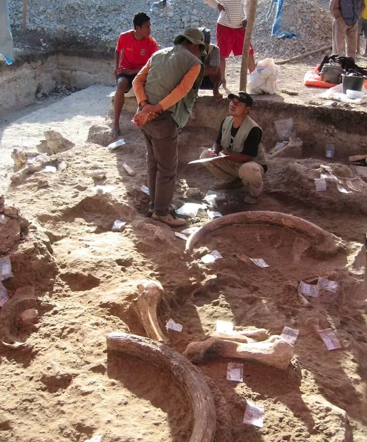 Крошечная ископаемая кость руки проливает свет на эволюцию древних индонезийских «хоббитов»